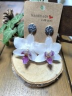 Orchidé coeur violet